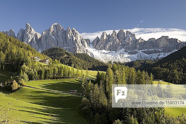 Geislerspitzen mit Erstschnee  Villnösstal  Dolomiten  Südtirol  Italien  Europa