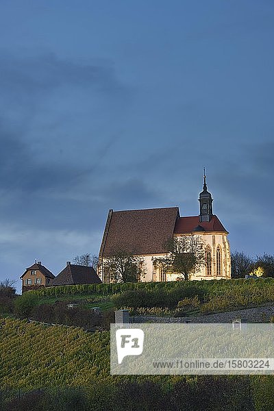 Wallfahrtskirche Maria im Weingarten  Volkach  Mainfranken  Unterfranken  Franken  Bayern  Deutschland  Europa