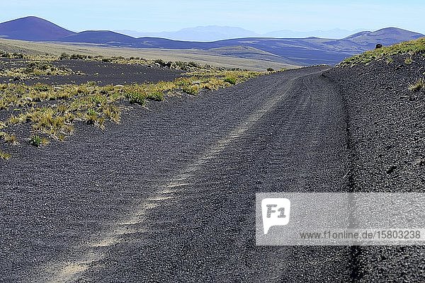 Weg durch vulkanische Mondlandschaft  Reserva La Payunia  Provinz Mendoza  Argentinien  Südamerika