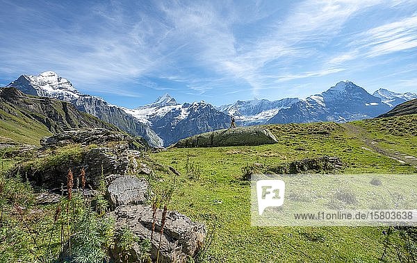 Wanderer steht auf einem grossen Felsen  hinter ihm schneebedecktes Schreckhorn  Wetterhorn und Eiger  Grindelwald  Bern  Schweiz  Europa