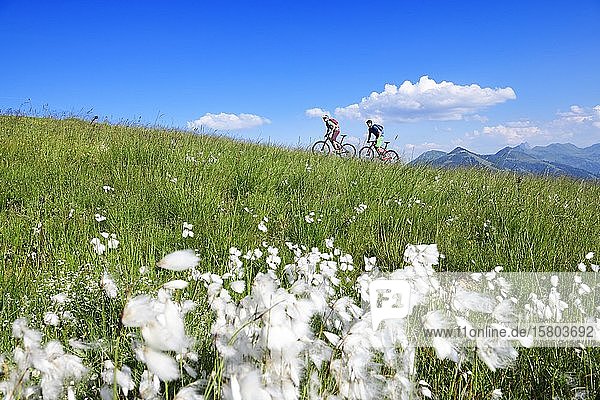Mountainbiker auf der Südseite der Hohen Salve  Hopfgarten  Kitzbüheler Alpen  Tirol  Österreich  Europa