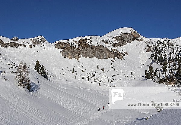 Winterwanderweg im Skigebiet Rofan  Rofan  Maurach am Achensee  Tirol  Österreich  Europa