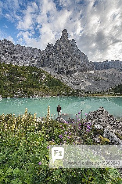 Young woman  hiker at the turquoise-green Sorapis lake  Lago di Sorapis  mountain peak Dito di Dio  Dolomites  Belluno  Italy  Europe