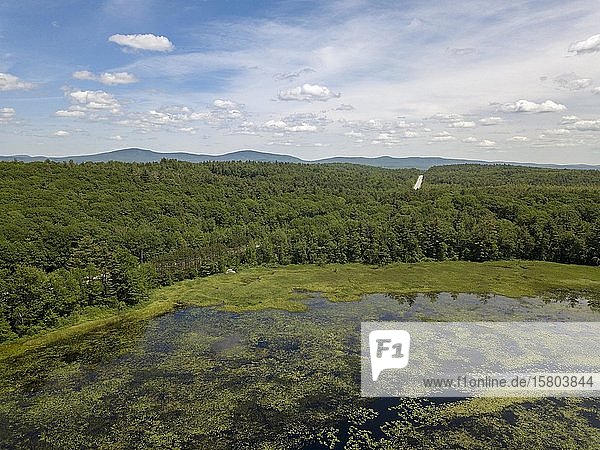 Luftaufnahme von Mud Pond  Dublin  New Hampshire  USA  Nordamerika