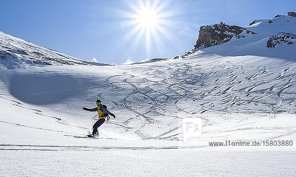 Snowboarder with splitboard rides in the snow  ski tour Geierspitze  Wattentaler Lizum  Tuxer Alps  Tyrol  Austria  Europe