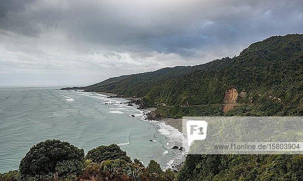 Blick auf Küste und Meer  Westküste  Südinsel  Neuseeland  Ozeanien