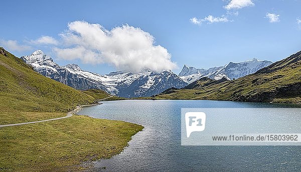 Bachalpsee with summits of the Schreckhorn and Finsteraarhorn  Grindelwald  Bernese Oberland  Switzerland  Europe