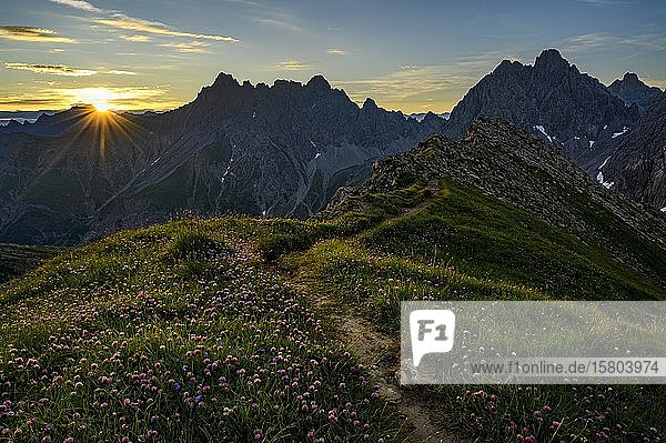 Bergweg mit Blumenwiese bei Sonnenaufgang in Berglandschaft  Gramais  Lechtal  Außerfern  Tirol  Österreich  Europa