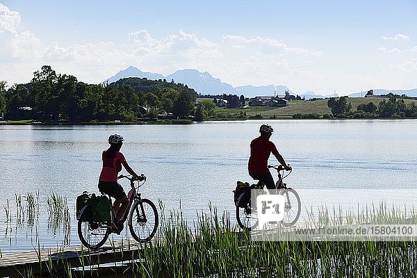 Paar mit Elektrofahrrädern auf dem Uferweg des Wallersees bei Seebrunn auf dem Via Nova Radweg  Salzburger Seenland  Salzburg Land  Österreich  Europa