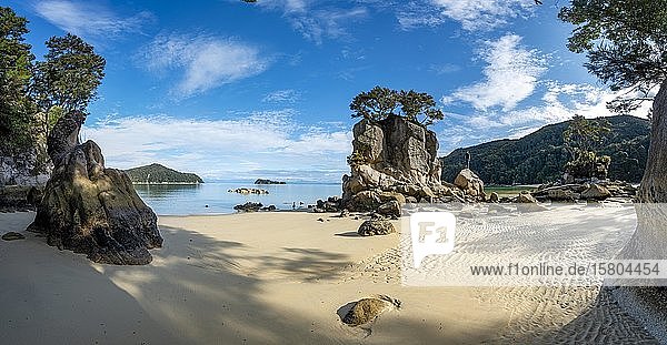 Junger Mann auf einem Felsen stehend  bewachsener Felsen am Strand der Stillwell Bay  Abel Tasman National Park  Tasman  Südinsel  Neuseeland  Ozeanien