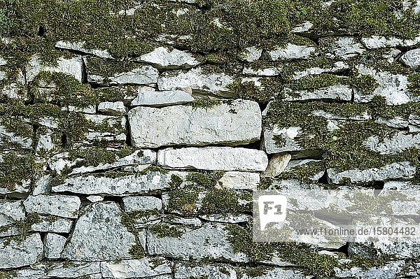Trockenmauerwerk  bemooste Wand aus Natursteinen  Festung Wülzburg  Weißenburg in Bayern  Altmühltal  Mittelfranken  Franken  Bayern  Deutschland  Europa