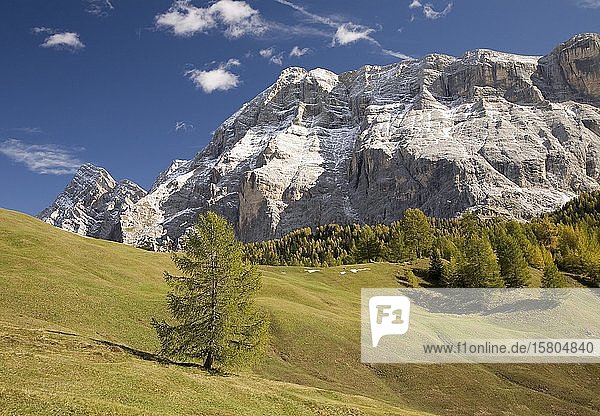 Blick auf den Heiligkreuzkofel von den Armentara-Wiesen  Dolomiten  Südtirol  Italien  Europa
