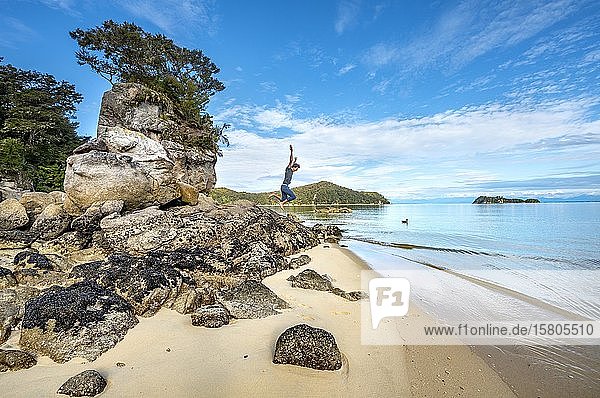 Young man jumps off a rock  overgrown rock on the beach of Stillwell Bay  Abel Tasman National Park  Tasman  South Island  New Zealand  Oceania