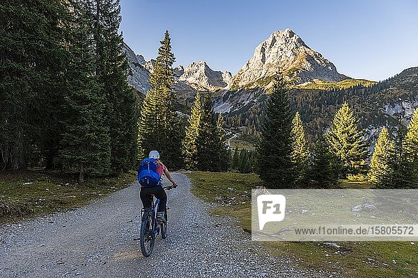 Mountainbiker auf Schotterstraße zum Seebensee  hinter Ehrwalder Sonnenspitze  Mieminger Kette  Tirol  Österreich  Europa