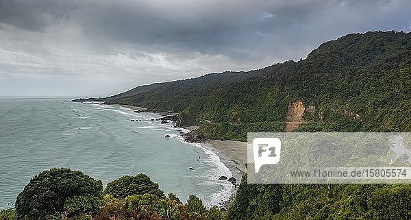 View of coast and sea  West Coast  South Island  New Zealand  Oceania