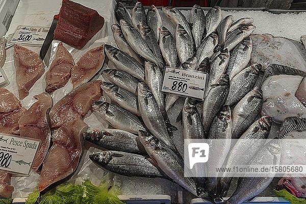 Fresh Temperate basses (Moronidae) and Swordfish (Xiphias gladius) on ice fish market Venice Veneto Italy Europe