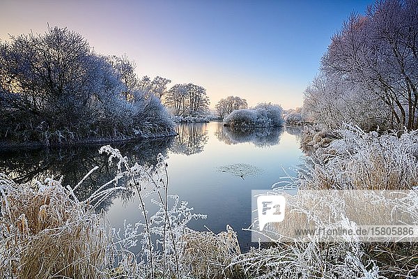 Flusslandschaft im Winter an der Eder,  Bäume mit Raureif,  natürliches Flussbett,  bei Bad Wildungen,  Hessen,  Deutschland,  Europa