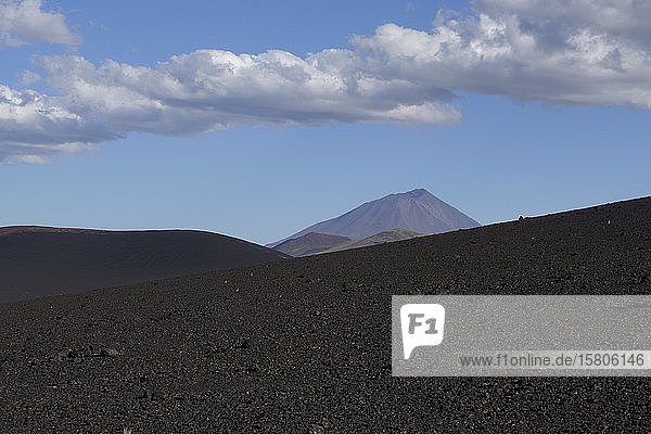Vulkanische Mondlandschaft  Vulkan Payun im Hintergrund  Reserva La Payunia  Provinz Mendoza  Argentinien  Südamerika