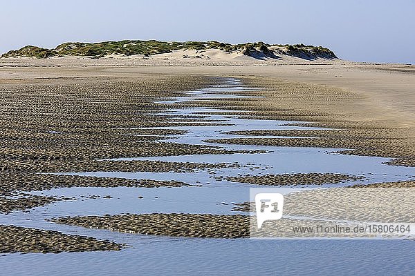 Strand auf der Insel Amrum  Nordsee  Nordfriesische Insel  Schleswig-Holstein  Deutschland  Europa
