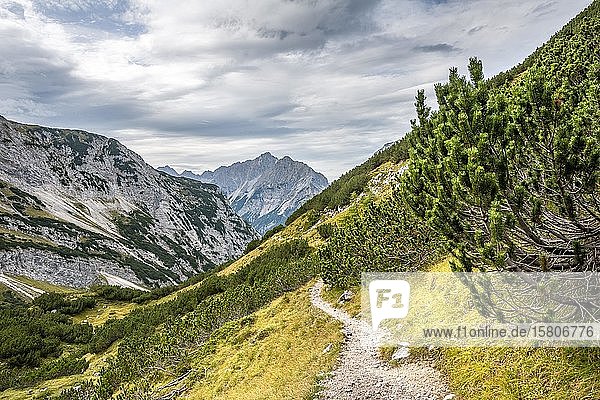 Wanderweg mit Blick auf die Vogelkarspitze und Hintere Schlichtenkarspitze  Abstieg von der Birkkarspitze  Vomperkette  Karwendel  Tirol  Österreich  Europa