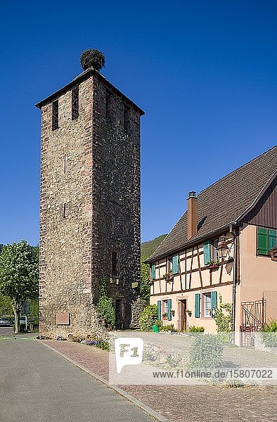 Wachturm an der Stadtmauer  Kayserberg  Elsass  Frankreich  Europa