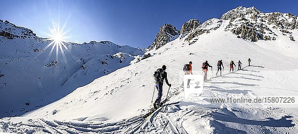 Ski tourers in winter  sunshine and blue sky  ascent to the Geierspitze  Wattentaler Lizum  Tux Alps  Tyrol  Austria  Europe