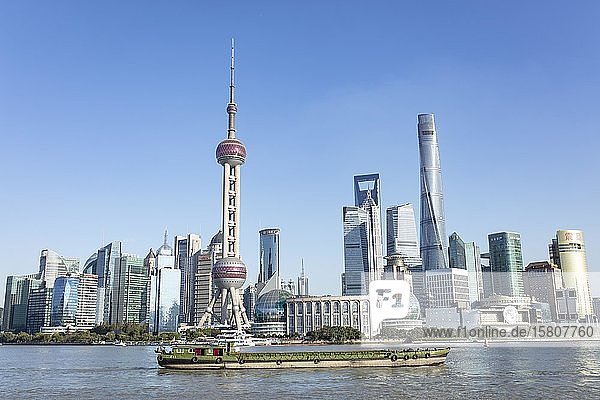 Skyline mit Hochhäusern  Pudong  Shanghai  China  Asien