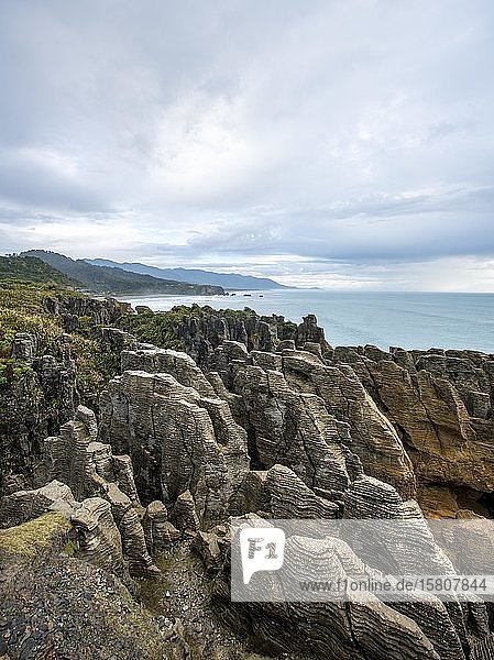 Coastal landscape with sandstone rocks  Pancake Rocks  Paparoa National Park  Punakaiki  West Coast  South Island  New Zealand  Oceania