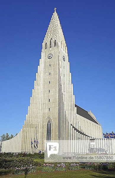 Hallgrímskirkja oder Hallgrims Kirche Kirche  Reykjavík  Höfuðborgarsvæðið  Island  Europa