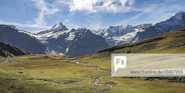 Flussmäander  hinter schneebedecktem Schreckhorn und Eiger  Grindelwald  Bern  Schweiz  Europa
