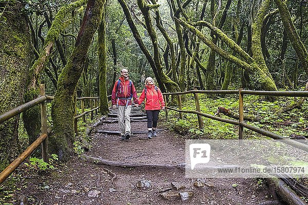 Couple hiking on forest trail in the laurel forest  Laguna Grande  Garajonay National Park  La Gomera  Canary Islands  Spain  Europe