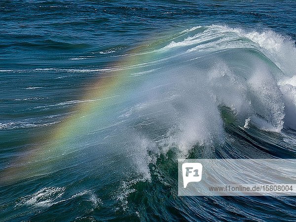 Welle mit Regenbogen in der Gischt Fuerteventura Kanaren Spanien Europa