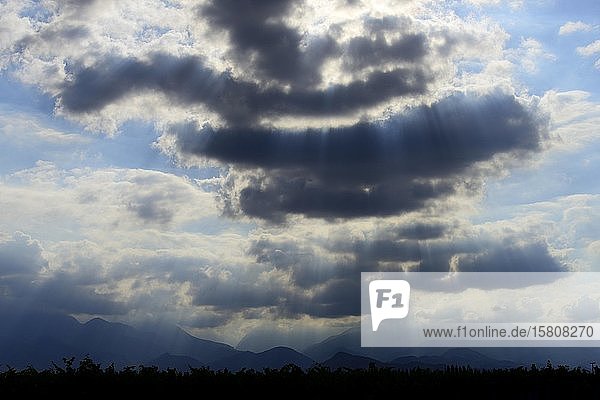 Weinberge mit Wolkenatmosphäre über dem Andenhauptkamm  in der Nähe von Mendoza  Provinz Mendoza  Argentinien  Südamerika