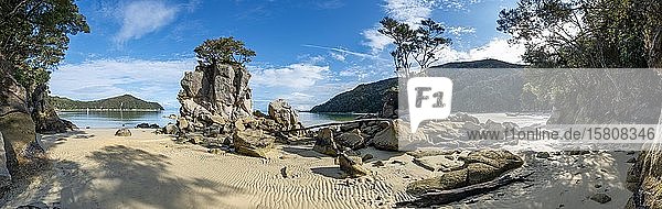 Overgrown rock on the beach of Stillwell Bay  Abel Tasman National Park  Tasman  South Island  New Zealand  Oceania