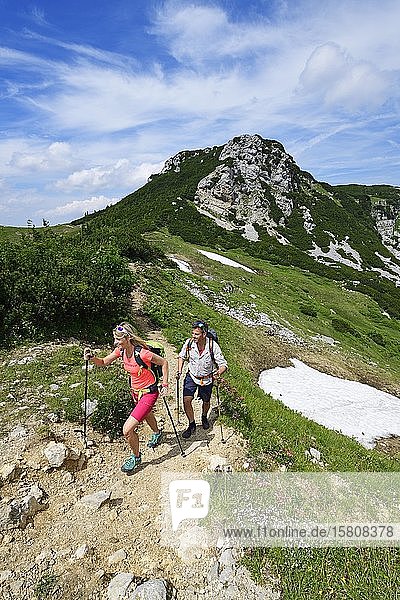 Hikers climbing to the summit of the Geigelstein  Sachrang  Chiemgau  Upper Bavaria  Bavaria  Germany  Europe