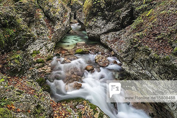 Autumnal stream  Moznica  Slovenia  Europe