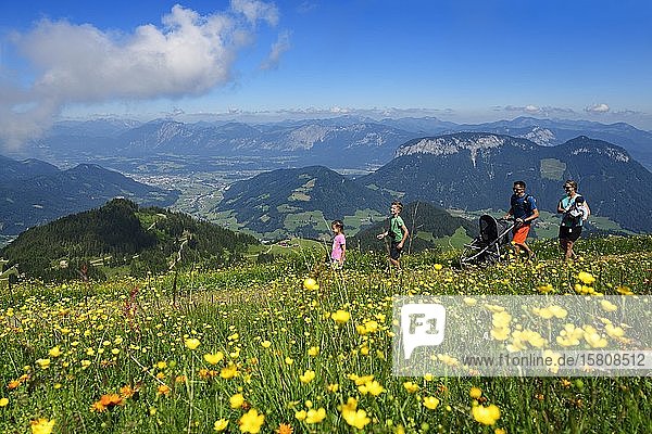 Familienwanderung auf dem Gipfelpanoramaweg der Hohen Salve  Hopfgarten  Brixental  Kitzbüheler Alpen  Tirol  Österreich  Europa
