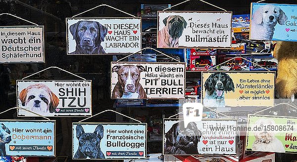 Schaufenster mit Hunde-Schildern Hundesalon Harlaching München Oberbayern Bayern Deutschland Europa