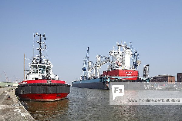 Frachtschiffe am Dock im Kaiserhafen  Hafenkräne  Bremerhaven  Bremen  Deutschland  Europa