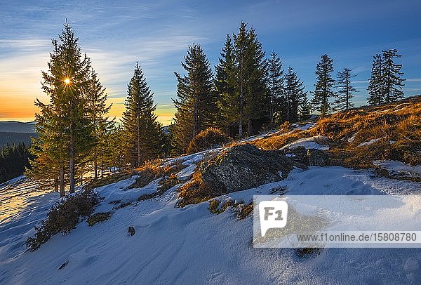 Schneebedeckte Alm bei Sonnenaufgang mit Wald  Sonnenstern  Sommeralm  Alpenland  Steiermark  Österreich  Europa