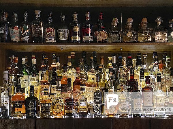 Verschiedene Whiskey- und Ginflaschen in einer Bar  Stuttgart  Baden-Württemberg  Deutschland  Europa