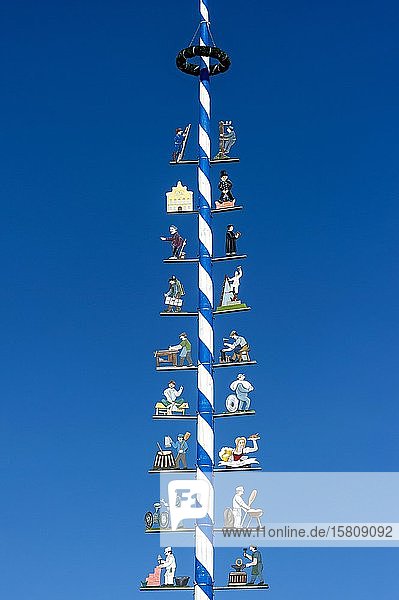 Maibaum mit Zunftzeichen Marktplatz Dorfen Oberbayern Bayern Deutschland Europa