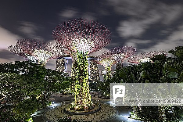 Supertrees bei Nacht  im Hintergrund das Marina Bay Sands Hotel  Supertree Grove  Gardens by the Bay  Singapur  Asien