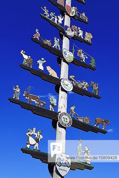 Maypole with guild sign in Schleching Chiemgau Upper Bavaria Bavaria Germany Europe