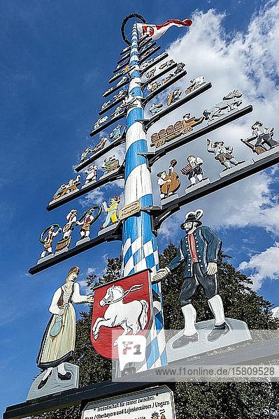 Maibaum mit Zunftzeichen Haag in Oberbayern Oberbayern Bayern Deutschland Europa