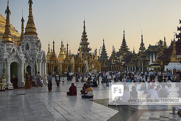 Shwedagon-Pagode  Yangon  Myanmar  Asien