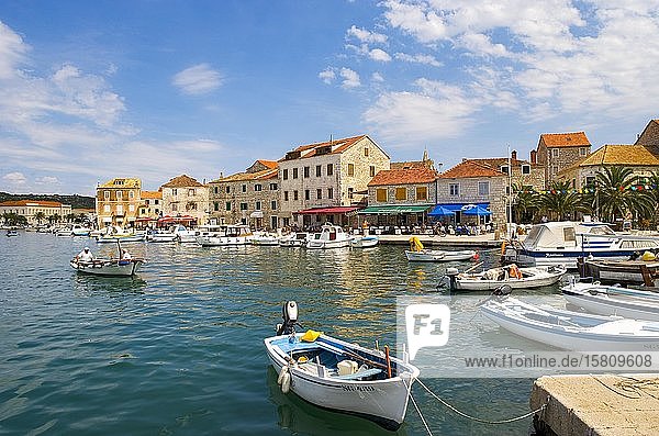 Promenade with fishing boats in the port  Stari Grad  island of Hvar  Dalmatia  Croatian Adriatic coast  Croatia  Europe