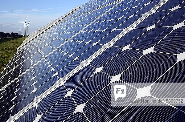 Erneuerbare Energien: Fotovoltaikanlage  Solarkraftwerk und Windpark im Hintergrund  Schleswig-Holstein  Deutschland  Europa