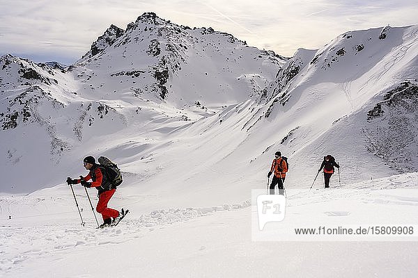 Skitourengeher im Schnee  hinter Schluchtspitzen  Wattentaler Lizum  Tuxer Alpen  Tirol  Österreich  Europa