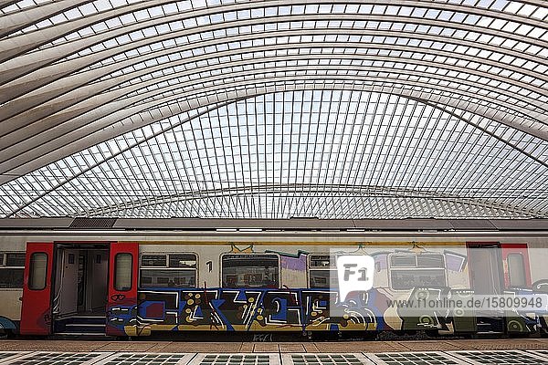 Liège railway station  Gare de Liège-Guillemins  designed by the Spanish architect Santiago Calatrava  Liège  Walloon Region  Belgium  Europe